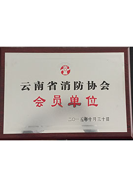云南消防協(xié)會會員單位